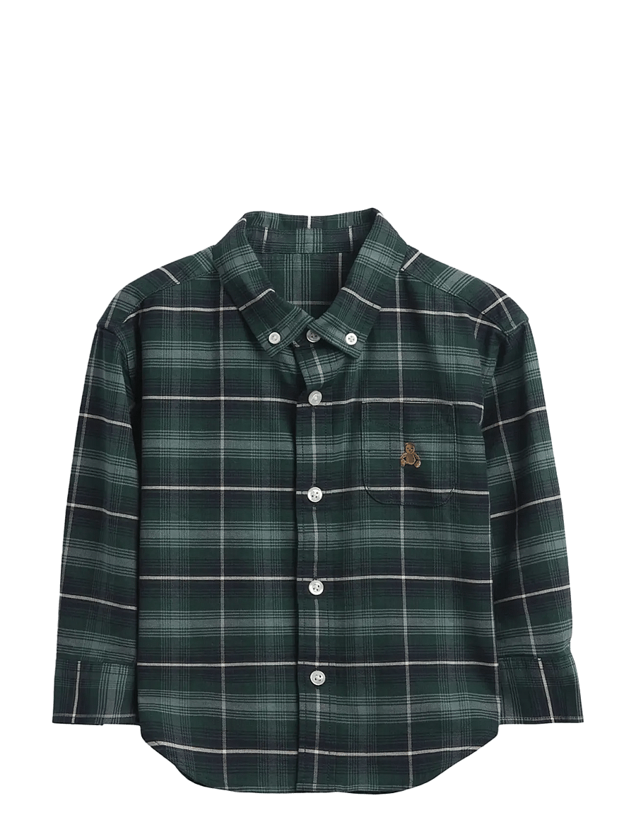 GAP - Baby & Toddler Print Oxford Big Shirt - pikkade varrukatega särgid - district green - 1