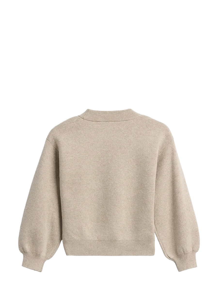GAP - Baby & Toddler Crewneck Sweater - stickade tröjor - brannan bear aop - 1