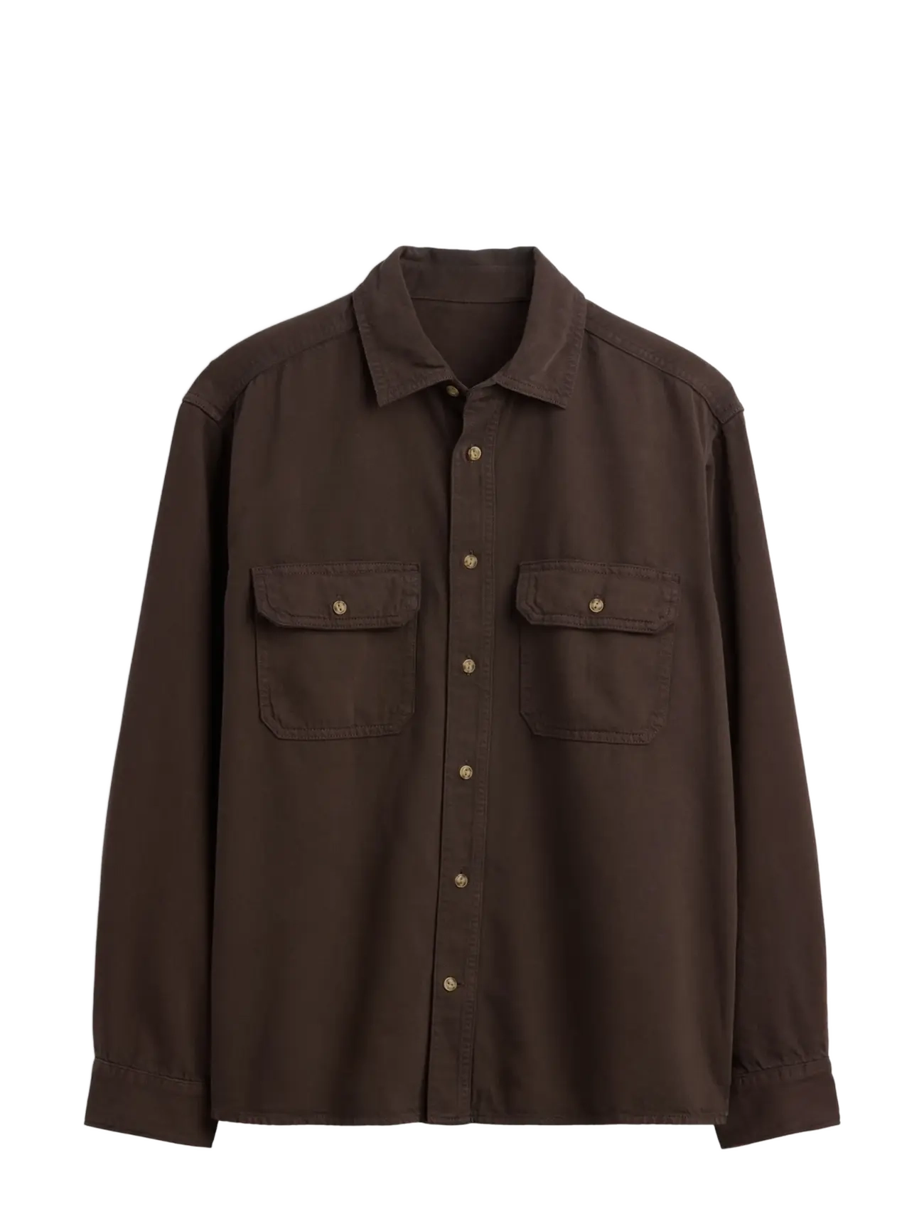 TERRA BROWN V2