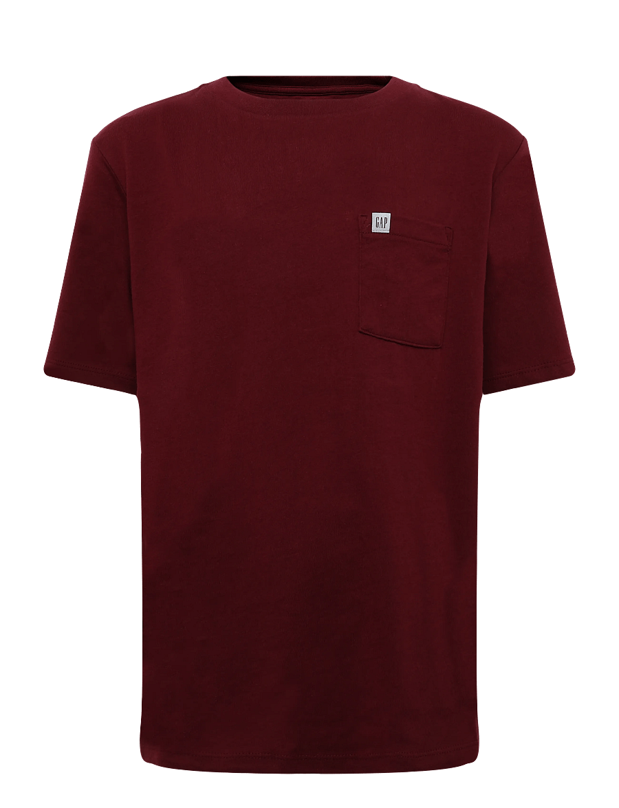 GAP - Logo T-Shirt from the GAP collection - radish - 0