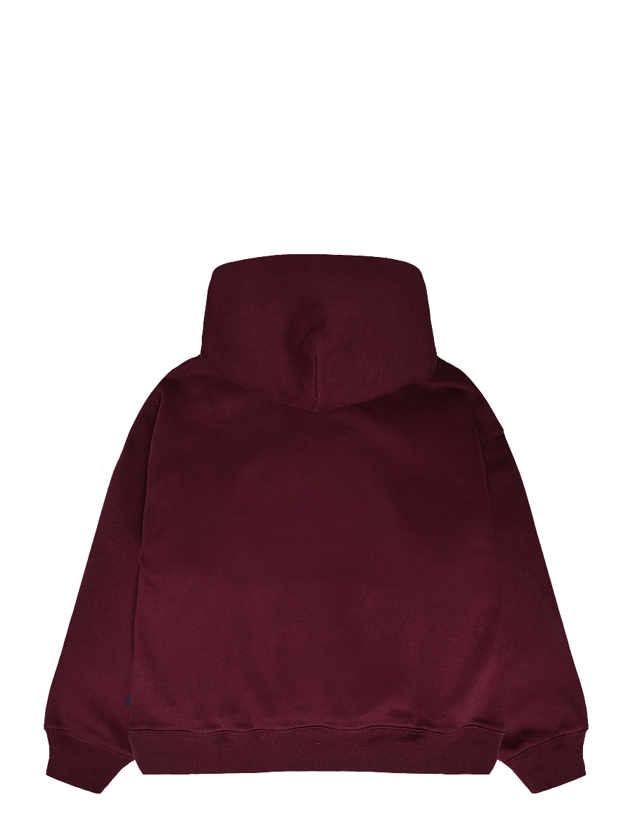 GAP - Kids VintageSoft Relaxed Logo Hoodie - kapuutsiga pusad - tuscan red - 1