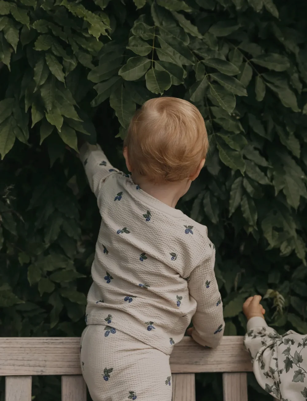 Garbo&Friends - Jersey Long Sleeve T-shirt Baby - langærmede t-shirts - mulberry ecru - 3