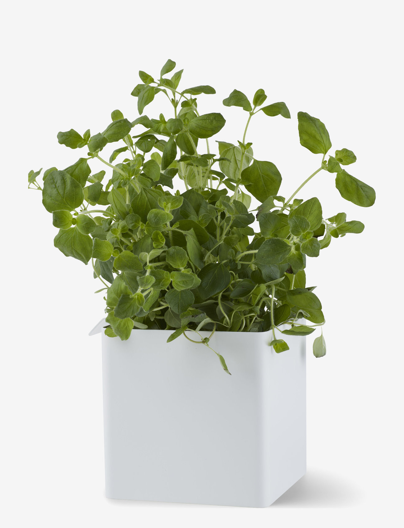 Gejst - Flex box - Įsigykite pagal kainą - white - 1