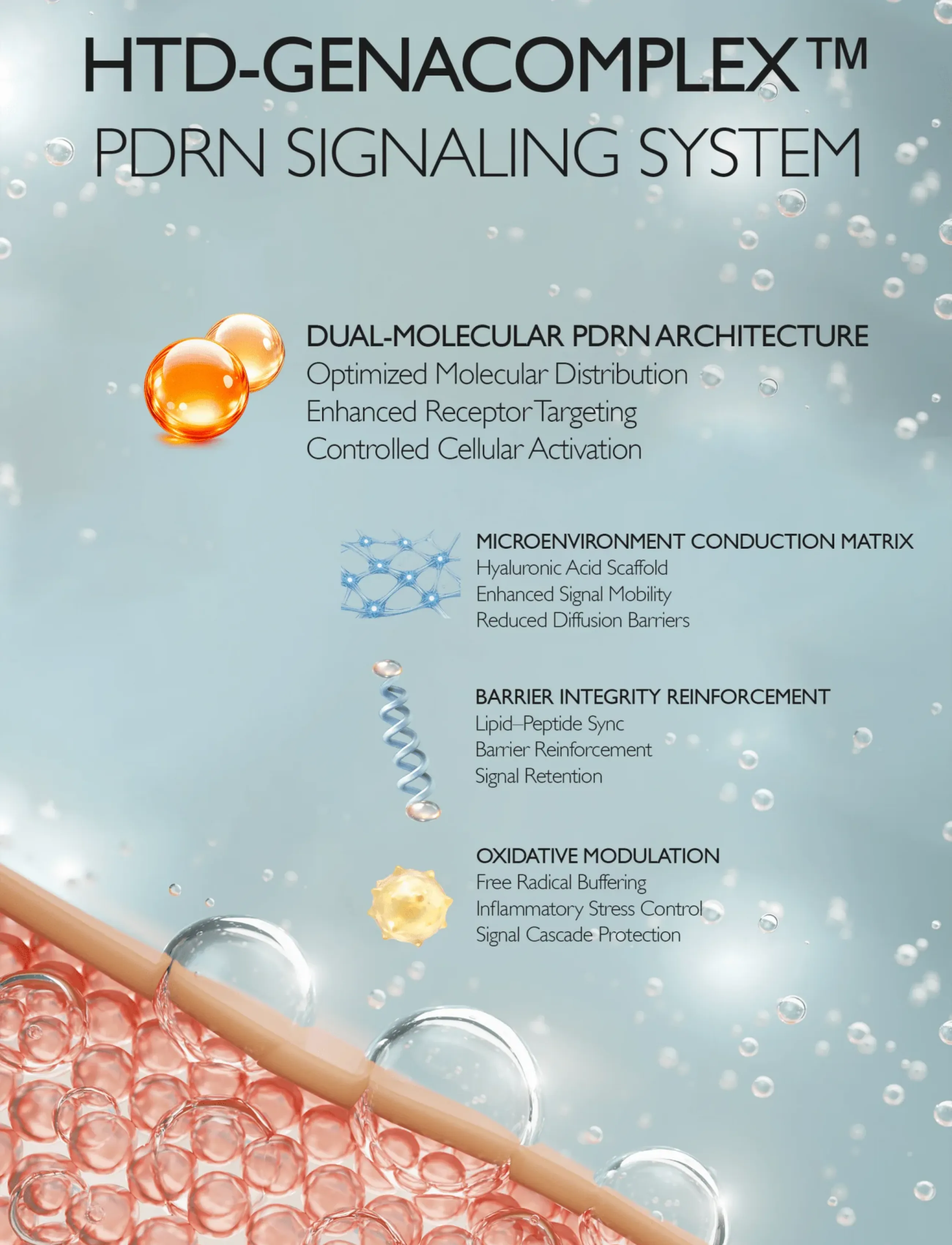 Genabelle - PDRN Rejuvenating Cream - fugtpleje - clear - 5