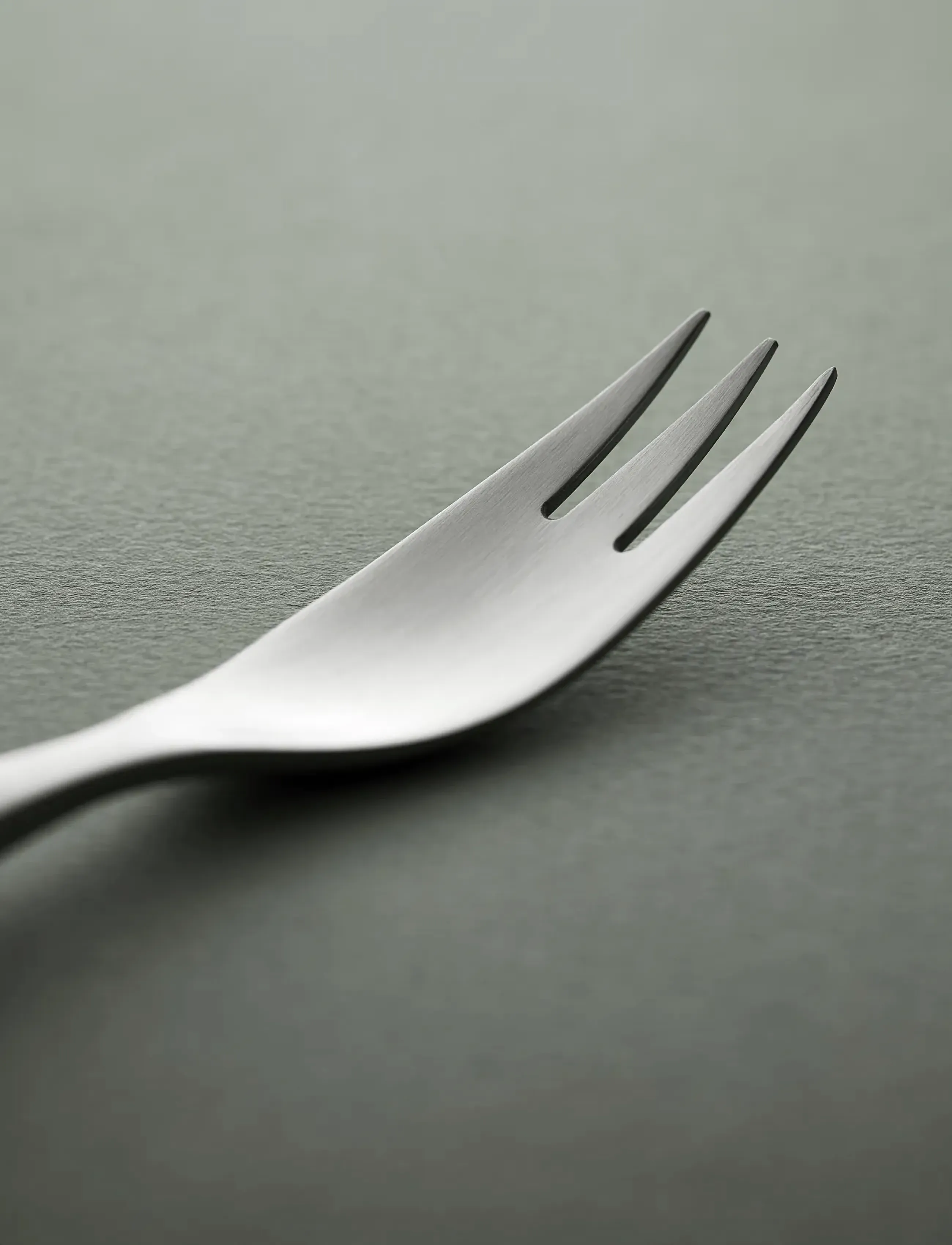 Gense - Table fork Focus de Luxe - Šakutės - black/steel - 2
