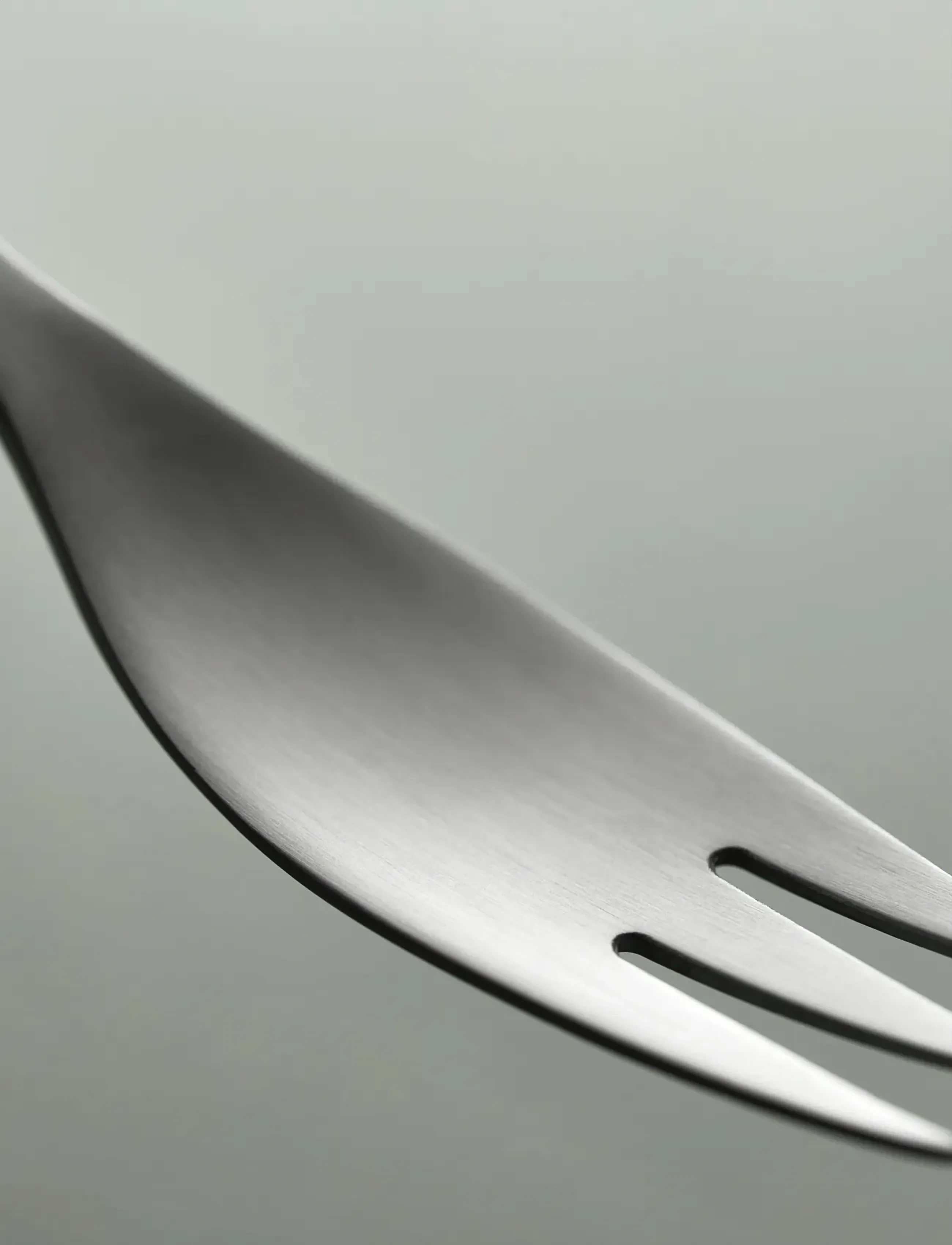 Gense - Table fork Focus de Luxe - Šakutės - black/steel - 3