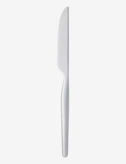 Bordkniv Dorotea 21,9 cm Mat stål - GREY