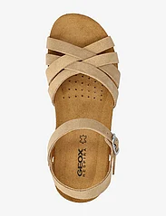 GEOX - D STHELLAE B - flat sandals - taupe - 3