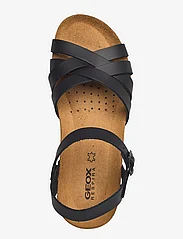 GEOX - D STHELLAE B - flat sandals - blk oxford - 3