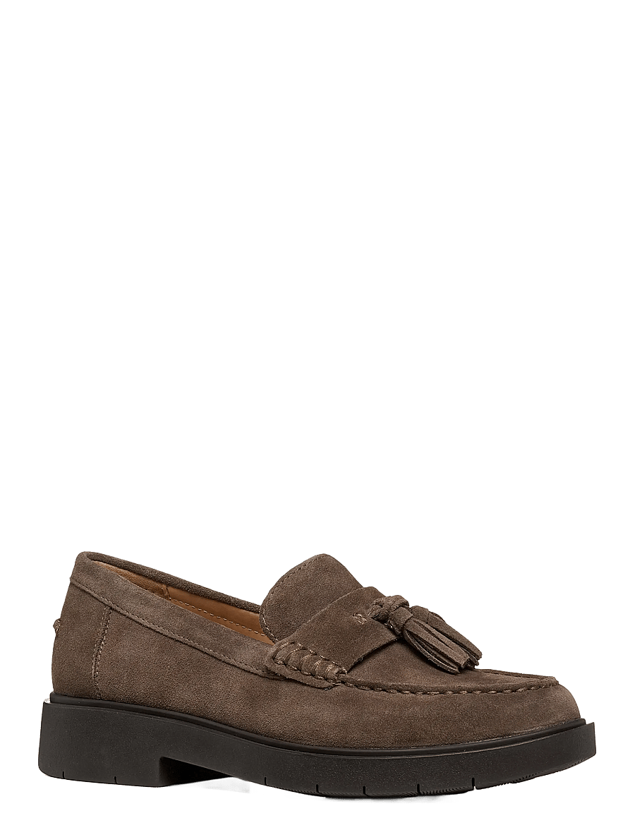 GEOX - D SPHERICA EC1 B A - taupe - 0