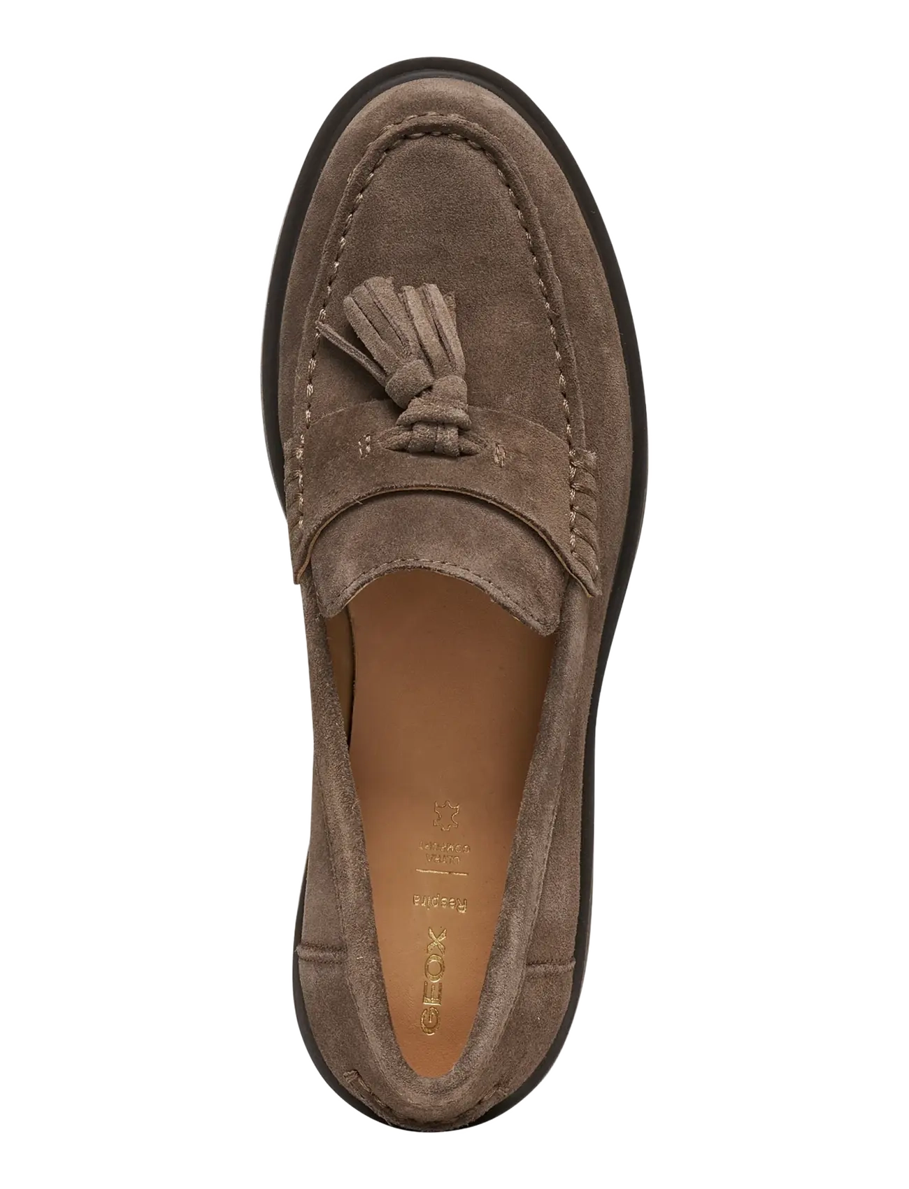 GEOX - D SPHERICA EC1 B A - modetrends - taupe - 3