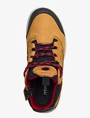 GEOX - J AERANTER BOY ABX A - høje sneakers - brown/red - 3