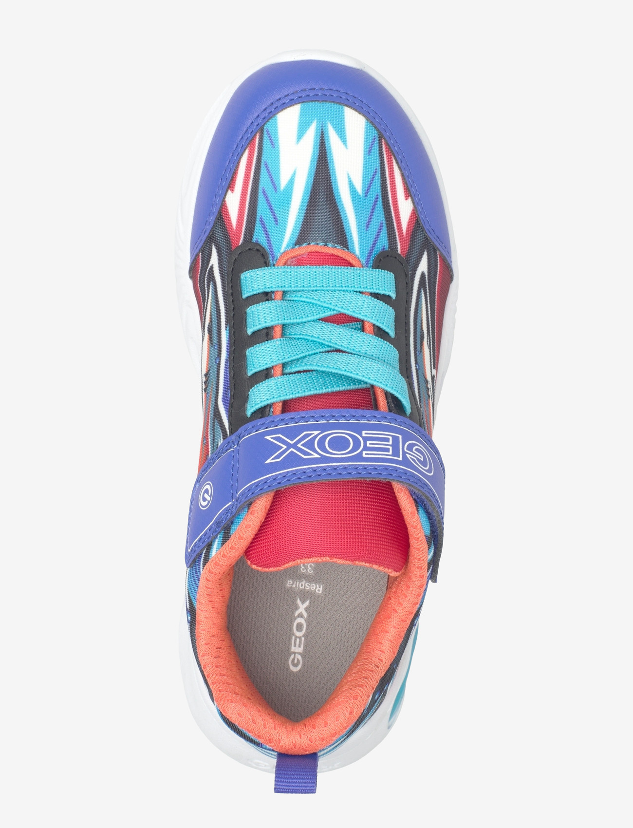 GEOX - J ASSISTER BOY B - low tops - royal/orange - 3