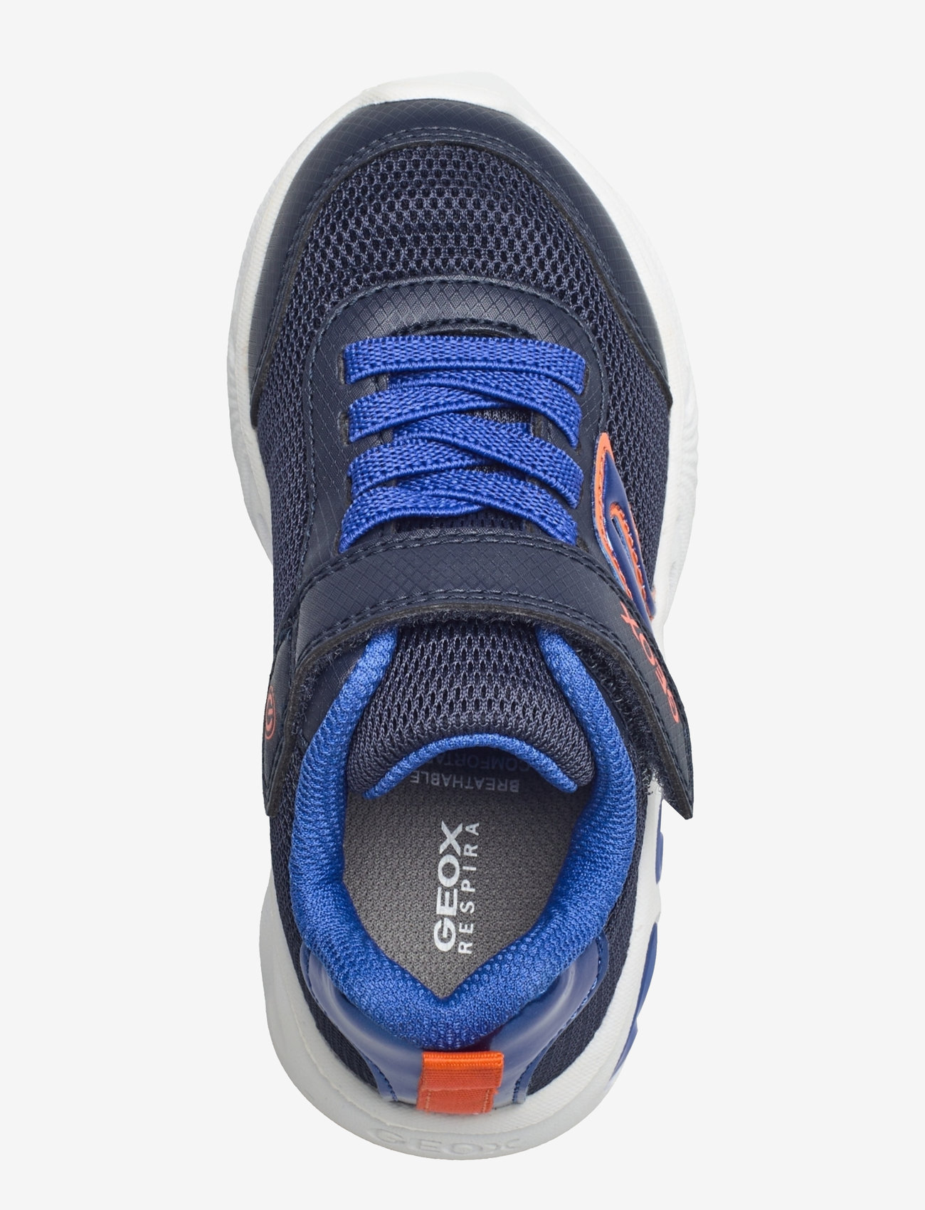 GEOX - J ASSISTER BOY C - blu azure - 3