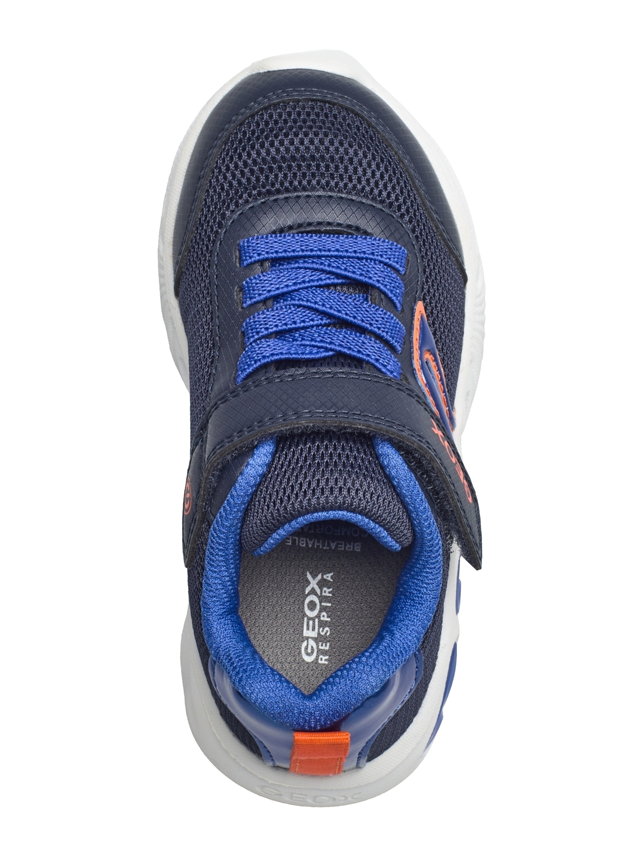 GEOX - J ASSISTER BOY C - suvised sooduspakkumised - blu azure - 3