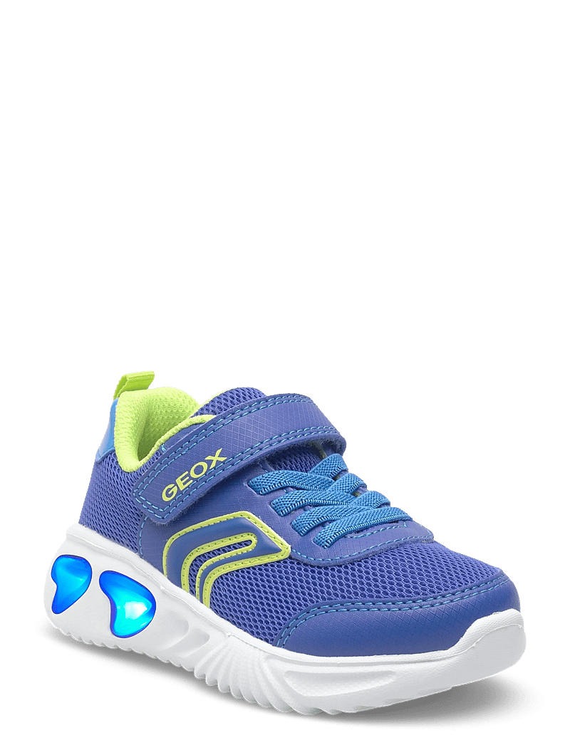 GEOX - J ASSISTER BOY C - matalavartiset tennarit - royal/lime - 0