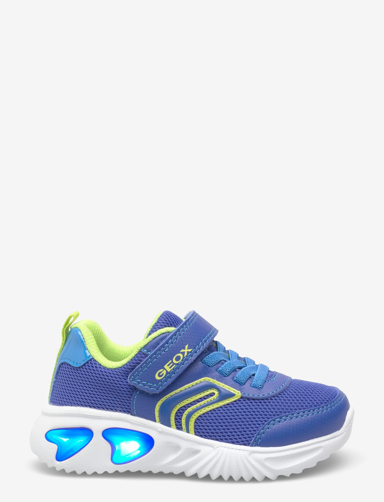 GEOX - J ASSISTER BOY C - matalavartiset tennarit - royal/lime - 1