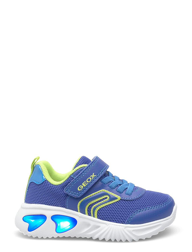 GEOX - J ASSISTER BOY C - matalavartiset tennarit - royal/lime - 1