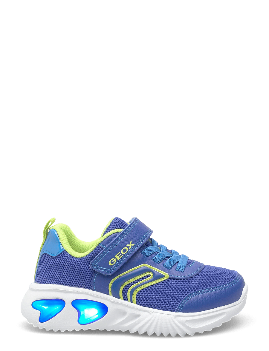 GEOX - J ASSISTER BOY C - låga sneakers - royal/lime - 1