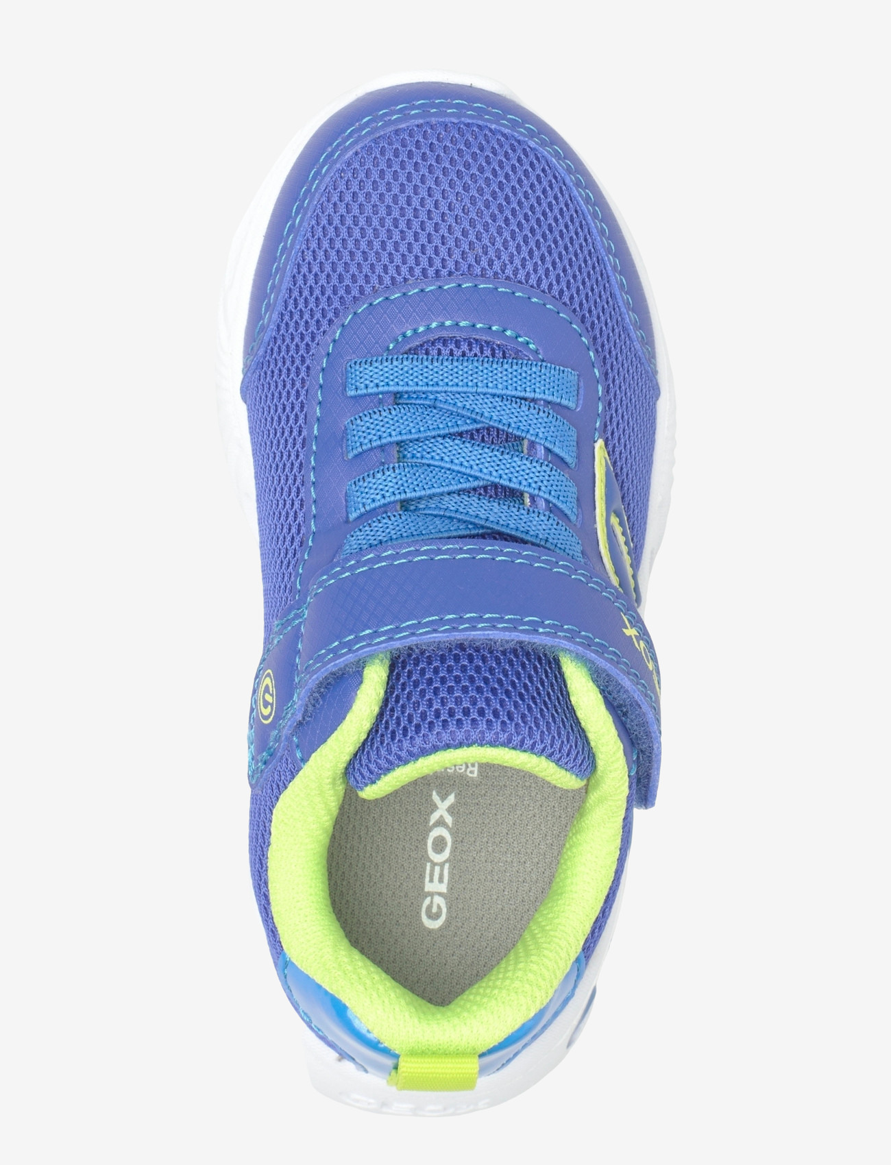 GEOX - J ASSISTER BOY C - matalavartiset tennarit - royal/lime - 3
