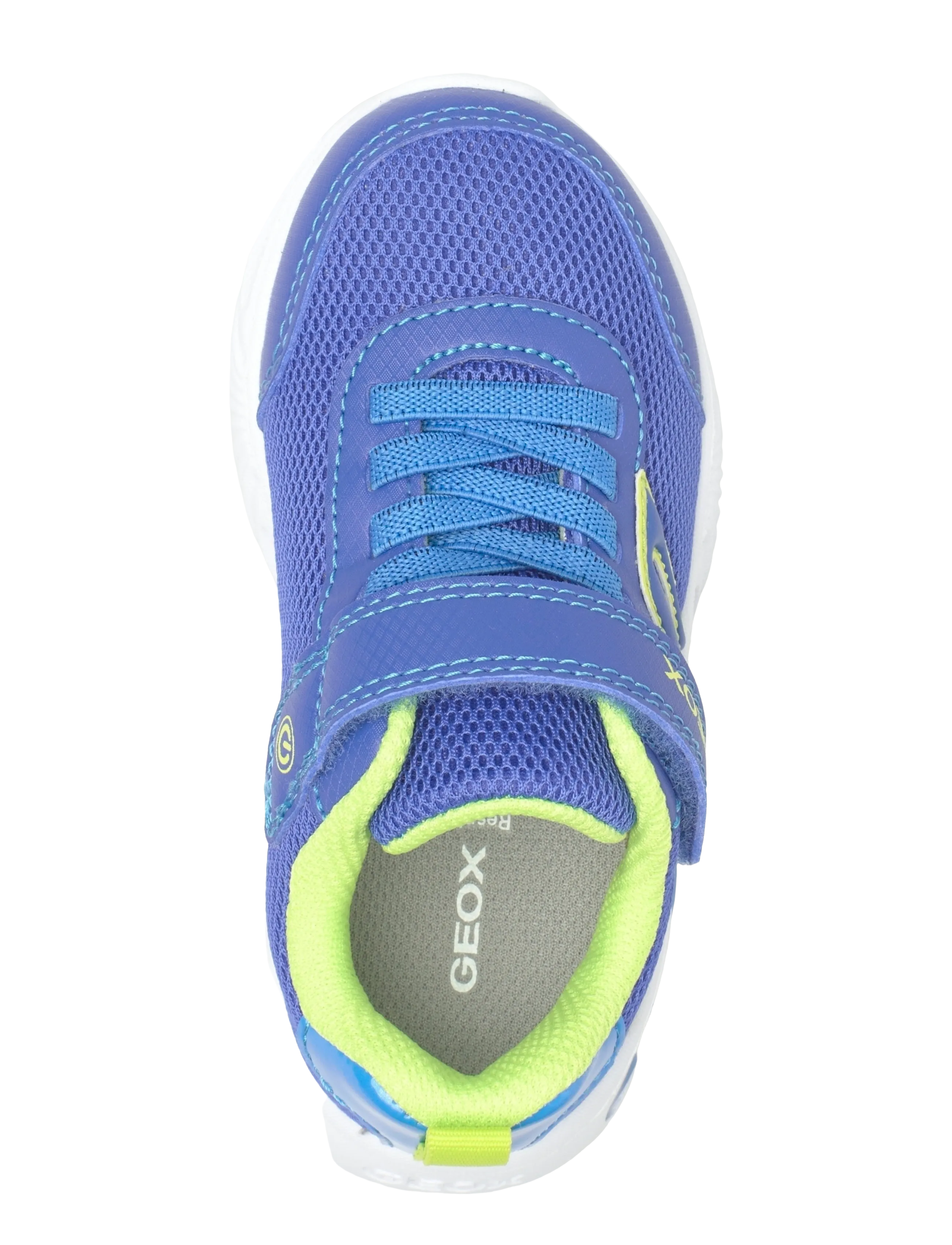 GEOX - J ASSISTER BOY C - zomerkoopjes - royal/lime - 3