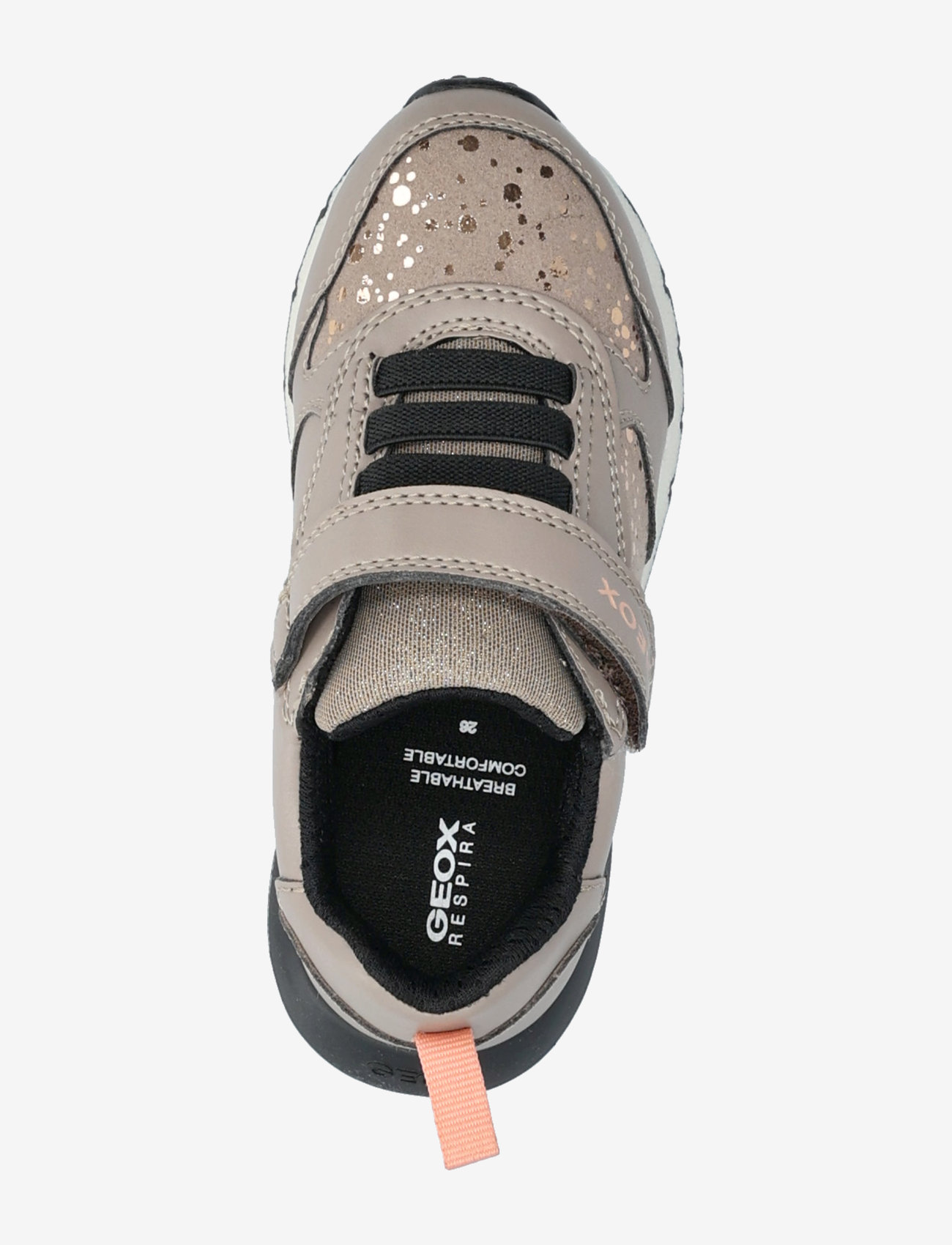 GEOX - J FASTICS GIRL B - dark beige - 3