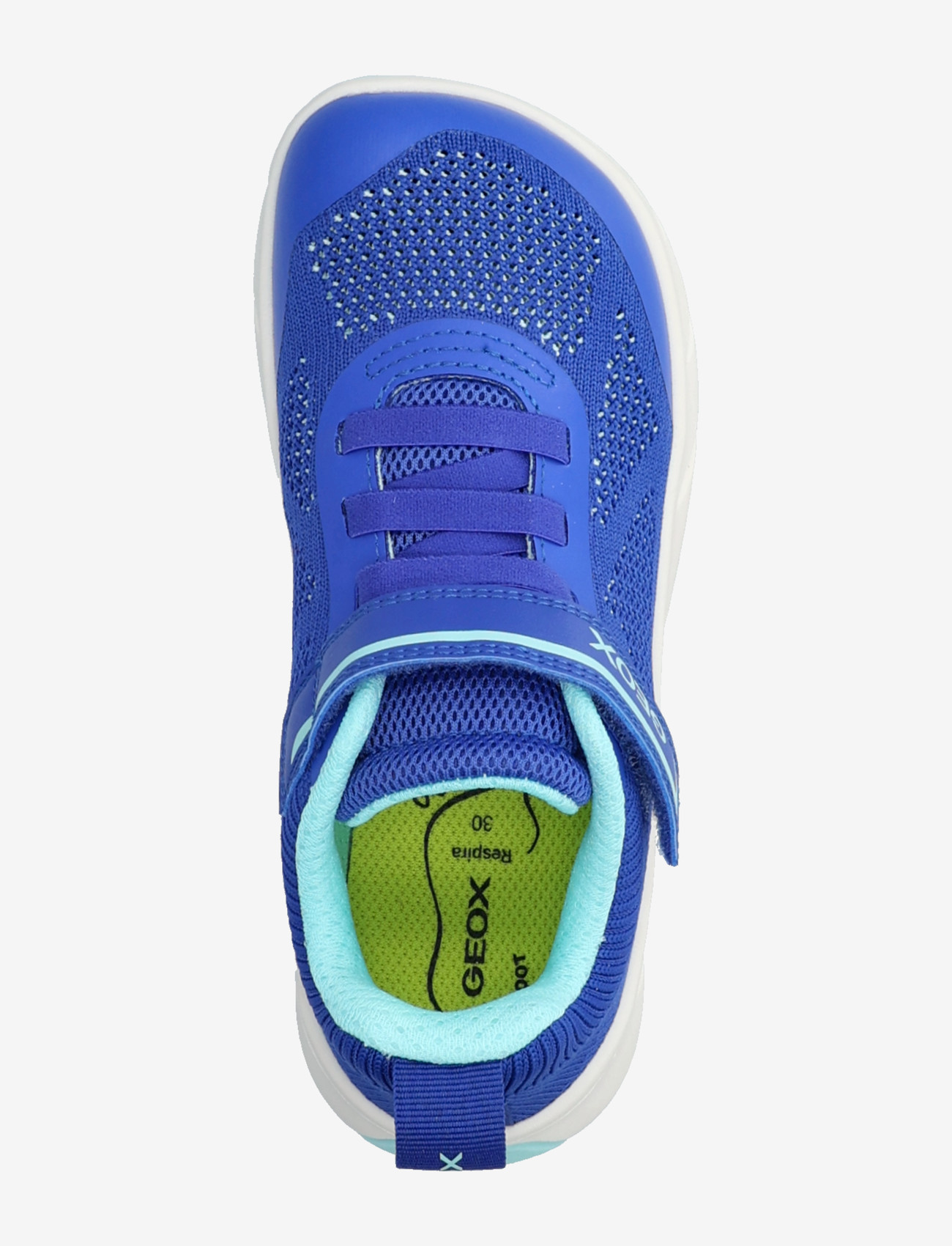 GEOX - J FOOT-RUN BOY B - jooksujalatsid - royal/watersea - 3