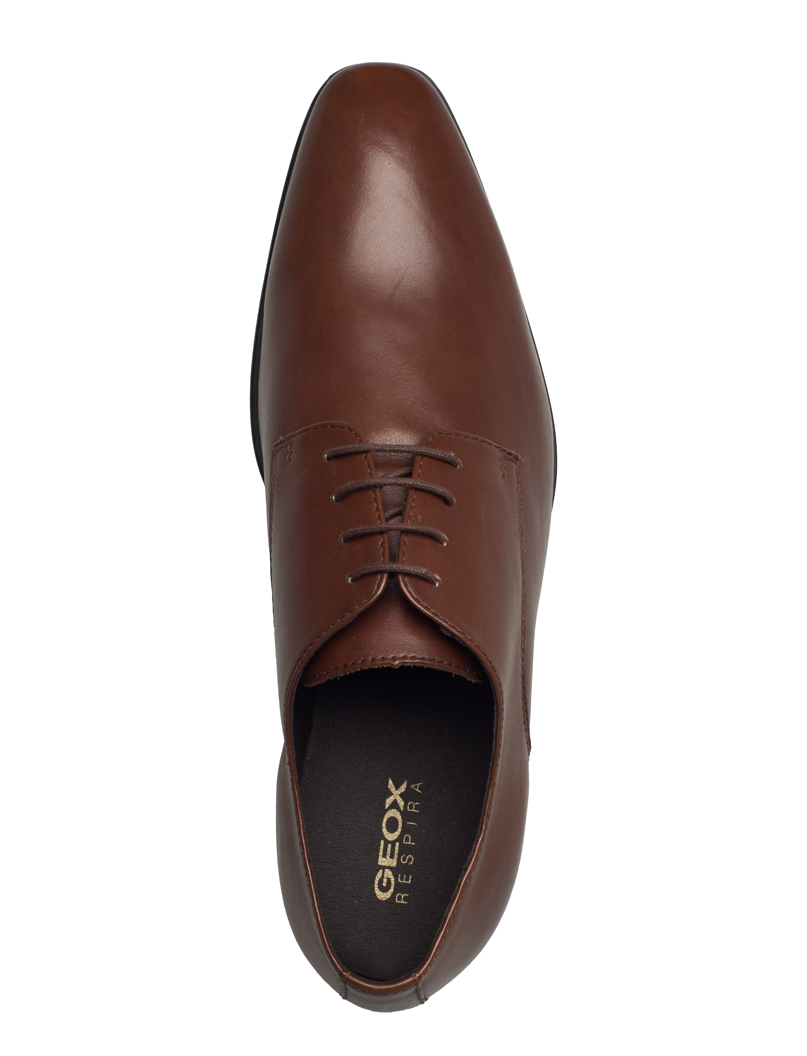 GEOX - UOMO HIGH LIFE B - dark brown - 3