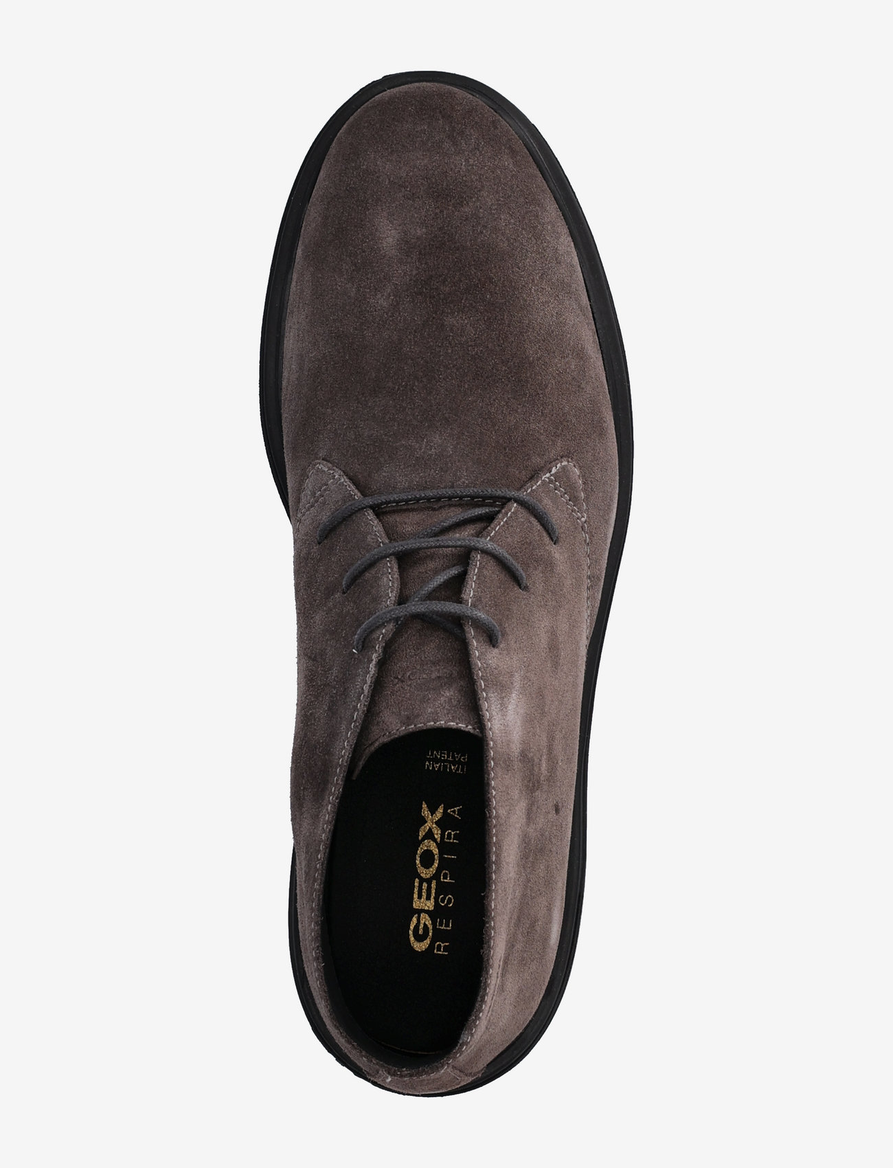 GEOX - U OTTAVIO B - Ørkenstøvler - mud - 3