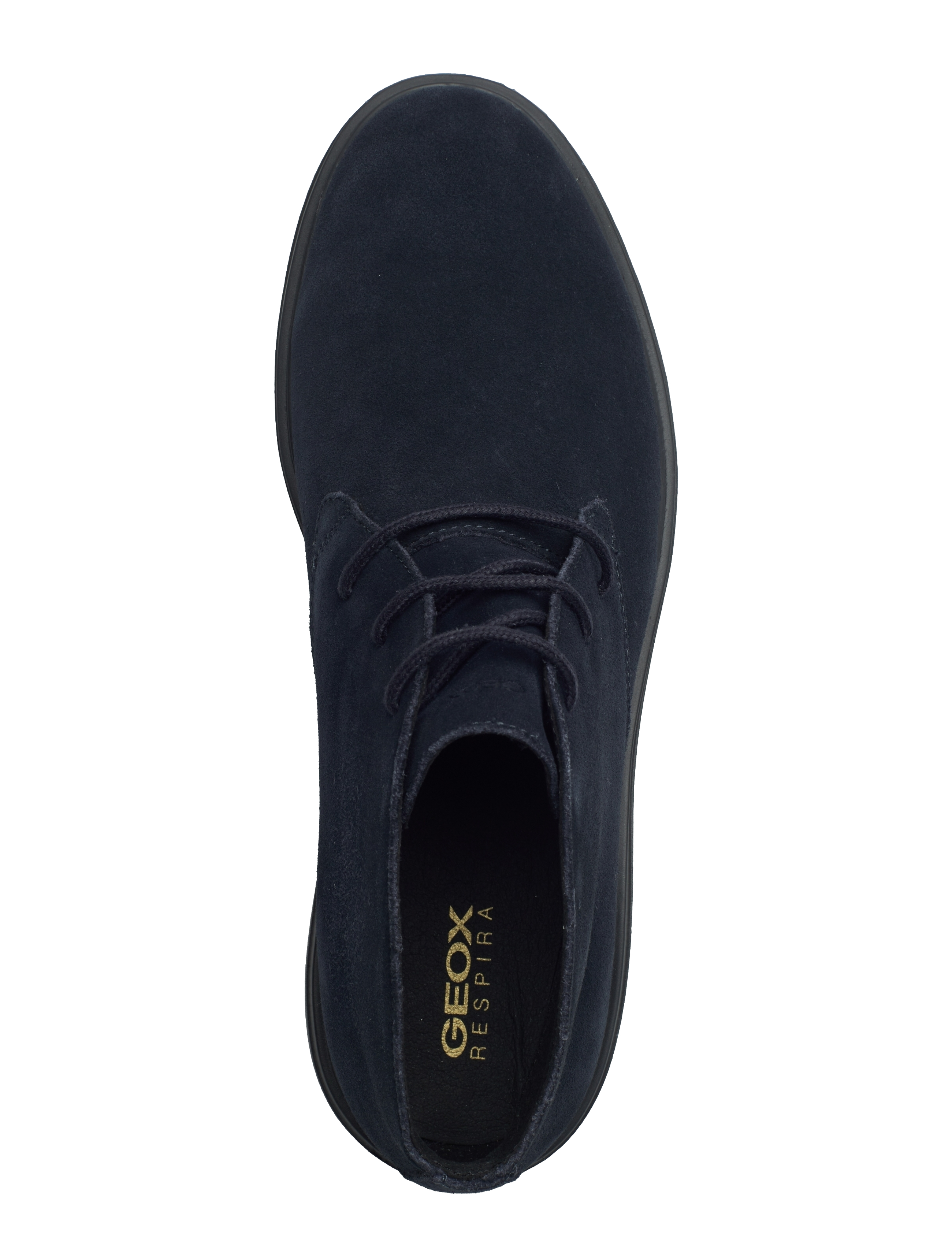 GEOX - U OTTAVIO B - Ørkenstøvler - navy - 3