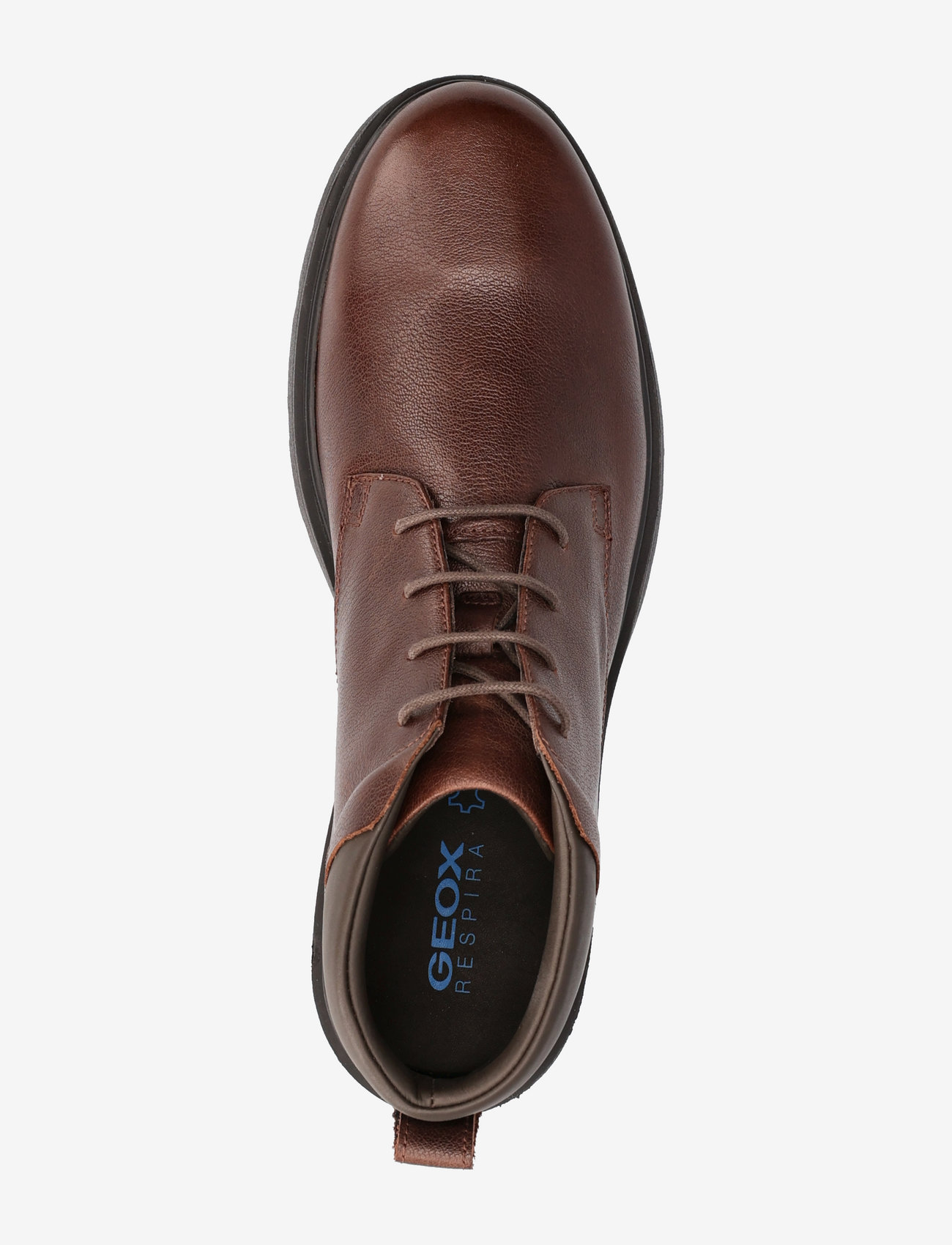 GEOX - U SPHERICA EC1 A - coffee - 3