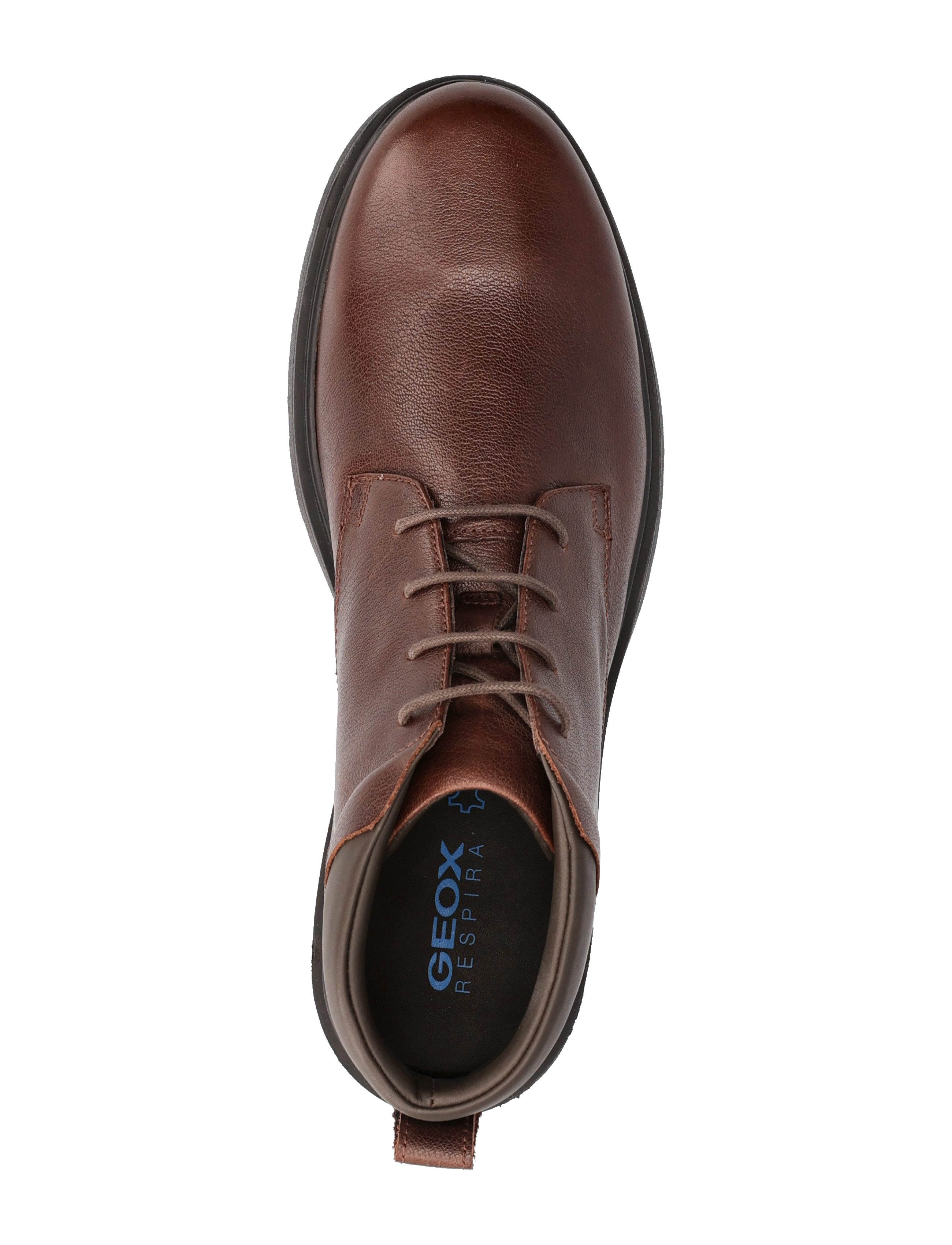 GEOX - U SPHERICA EC1 A - coffee - 3