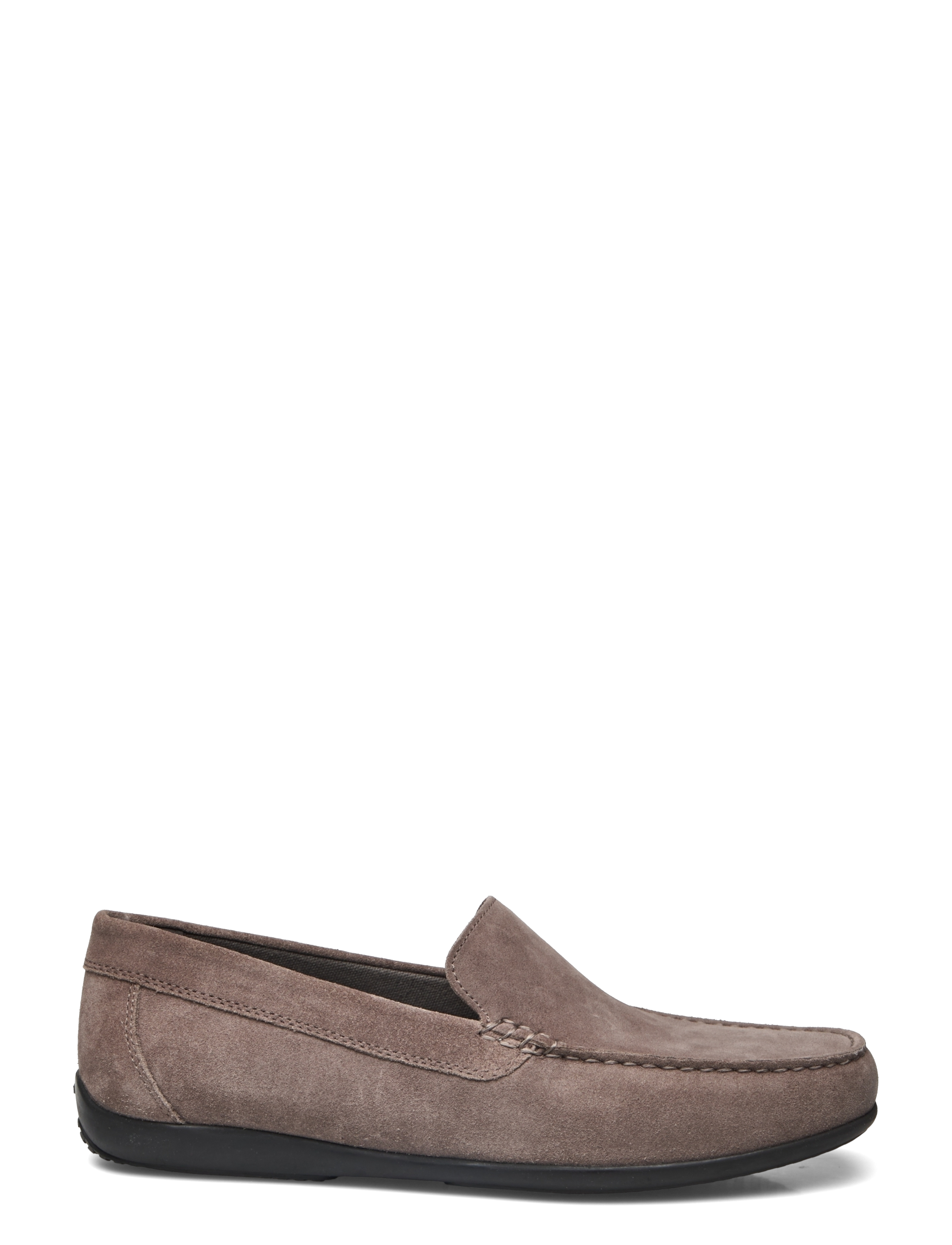 GEOX - U ASCANIO B - dove grey - 1