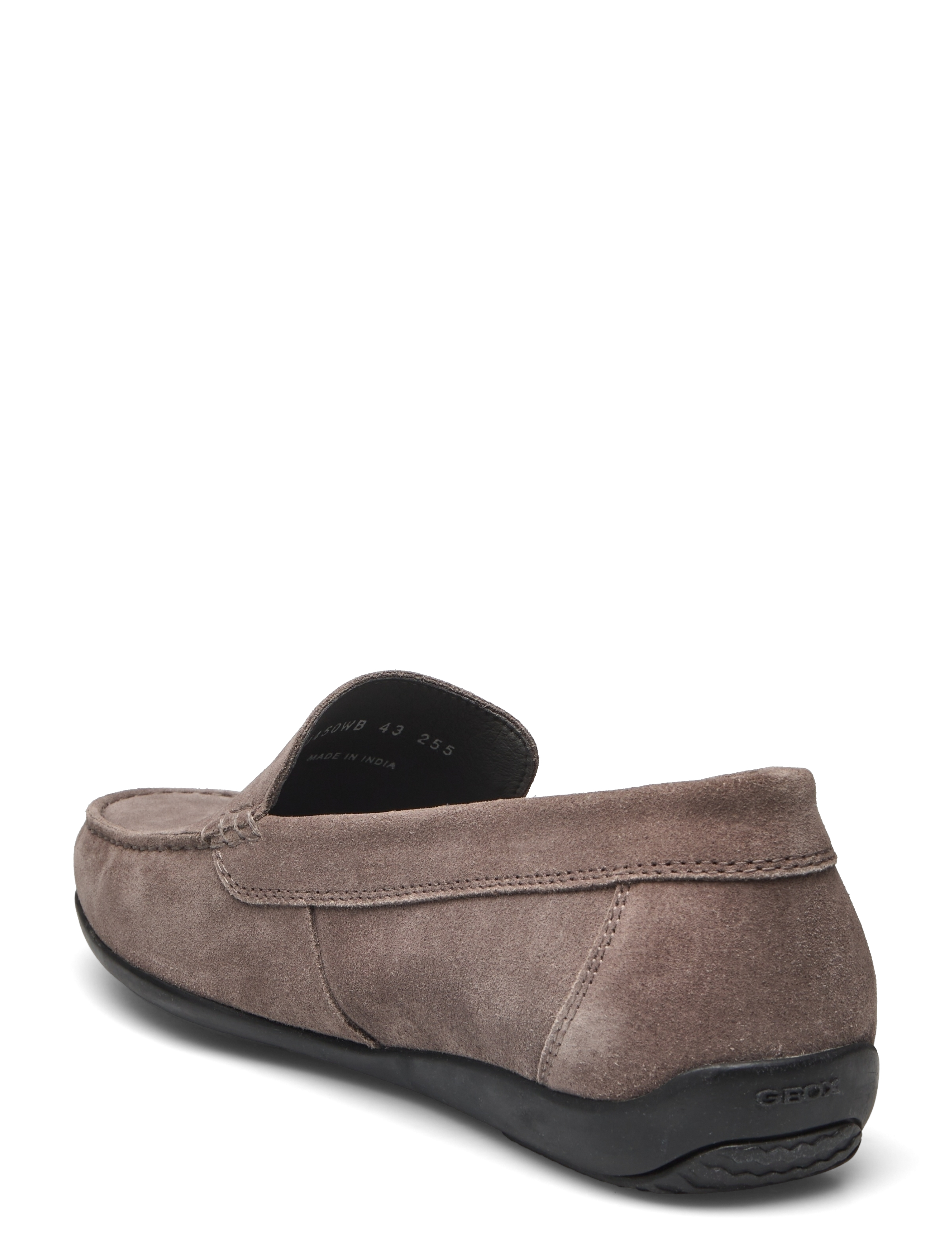 GEOX - U ASCANIO B - dove grey - 2