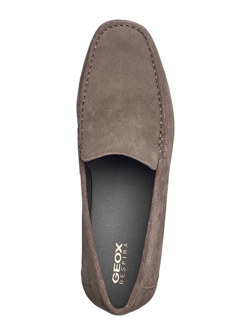 GEOX - U ASCANIO B - kollektionen - dove grey - 3