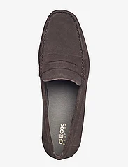 GEOX - U ASCANIO C - spring shoes - dark brown - 4