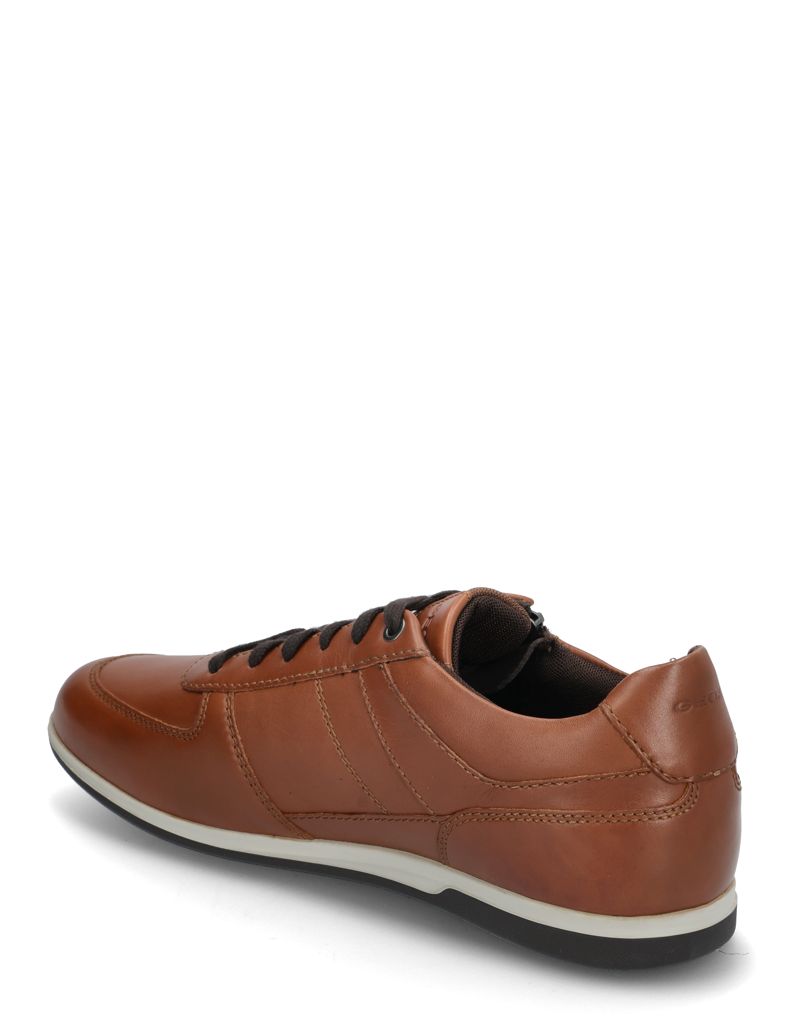 GEOX - U RENAN B - brown cotto - 2