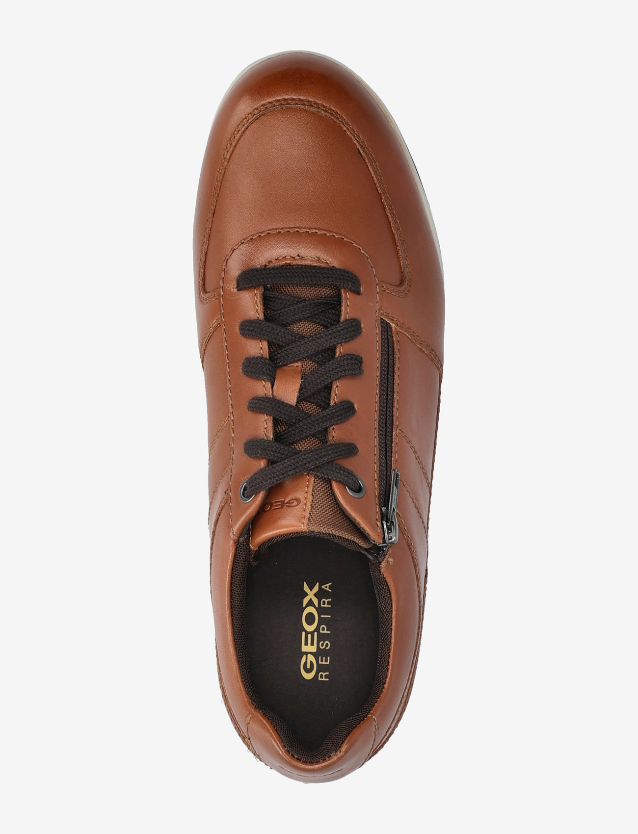 GEOX - U RENAN B - brown cotto - 3
