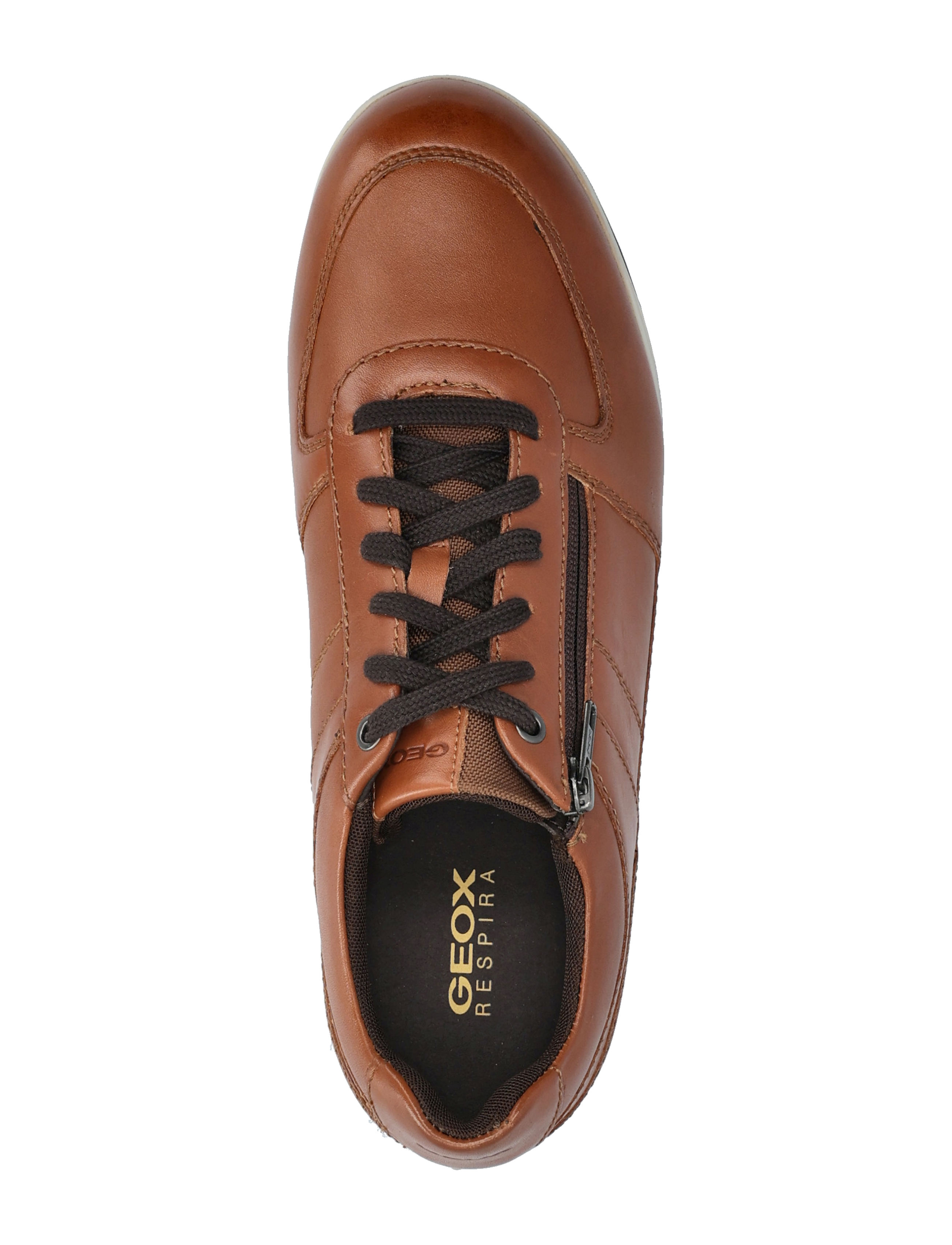 GEOX - U RENAN B - brown cotto - 3
