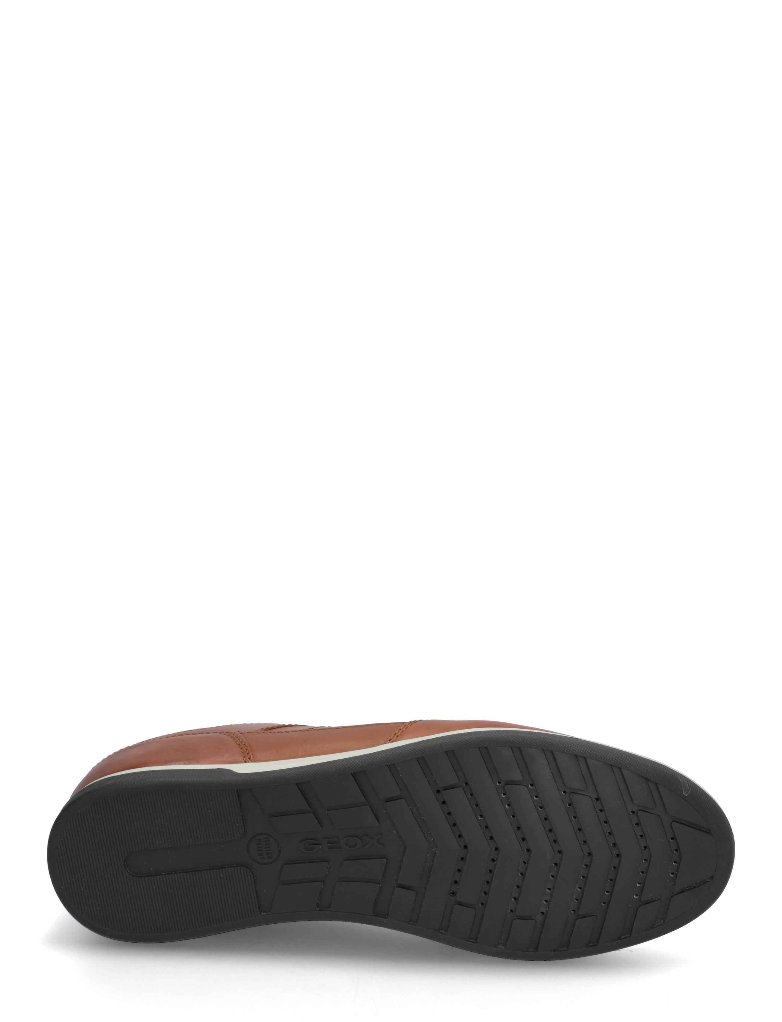 GEOX - U RENAN B - brown cotto - 4
