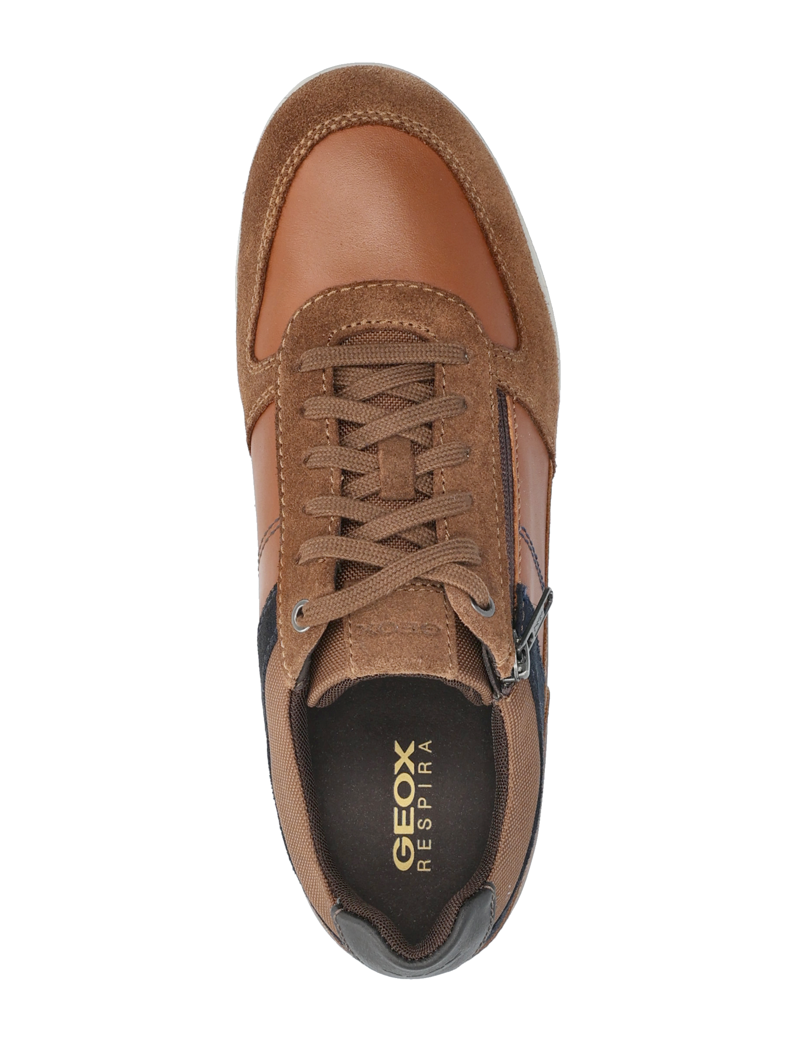 GEOX - U RENAN B - browncotto/navy - 3