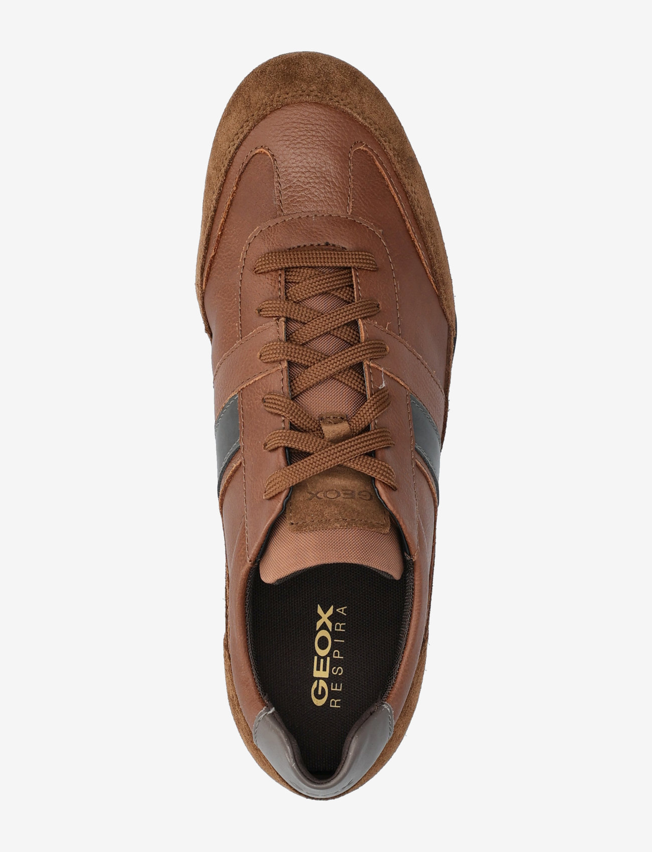 GEOX - U WELLS A - brown cotto - 3