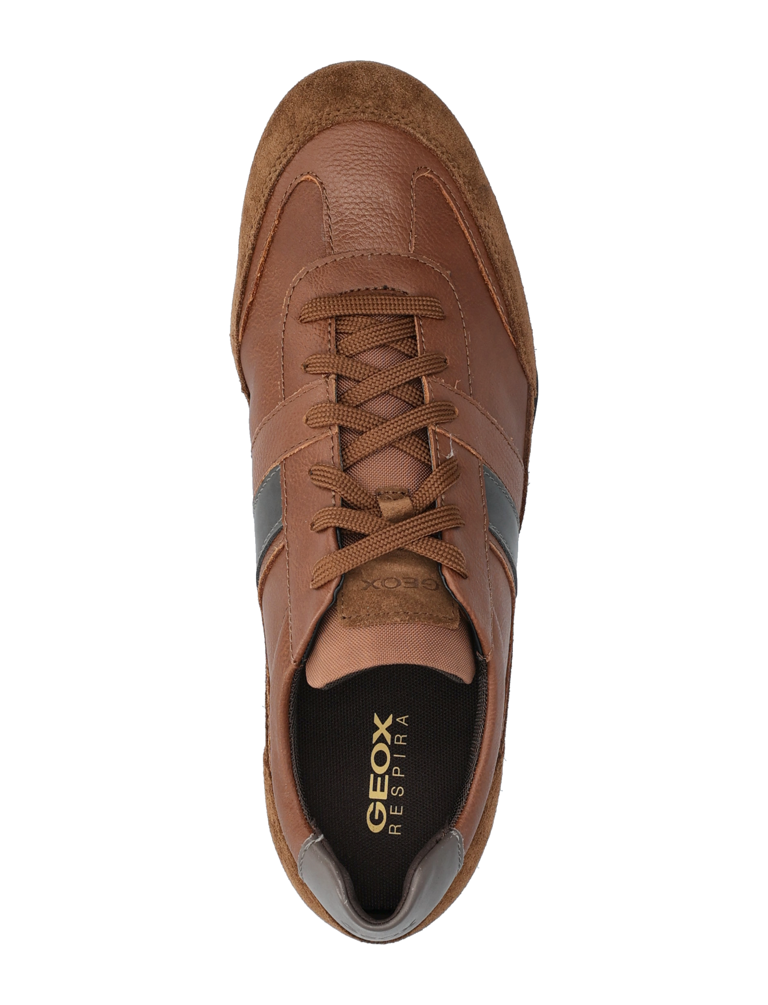 GEOX - U WELLS A - brown cotto - 3