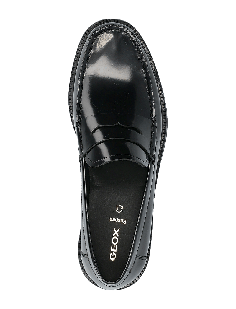 GEOX - U RECANATI B - kollektioner - blk oxford - 3