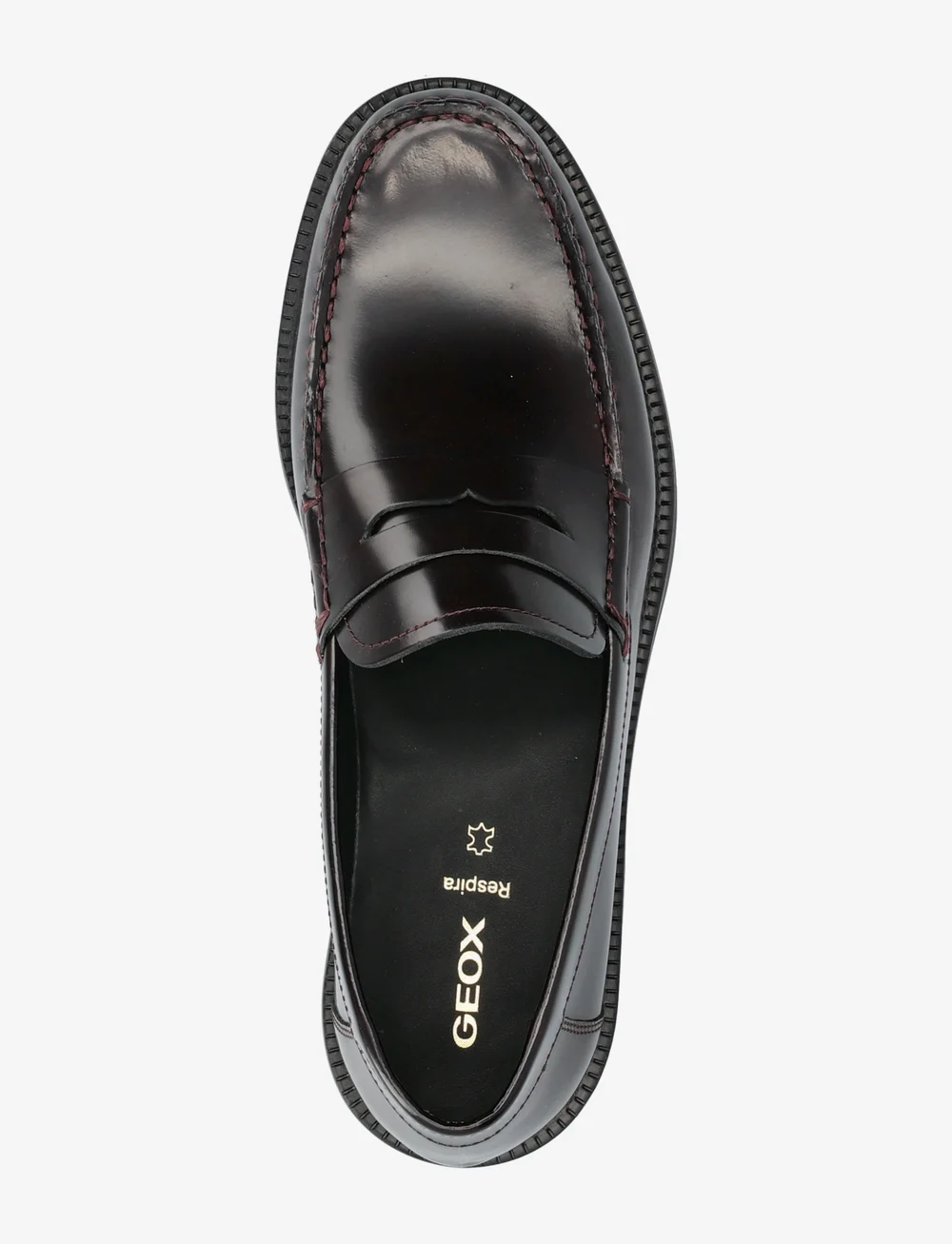 GEOX - U RECANATI B - collecties - dark red - 3