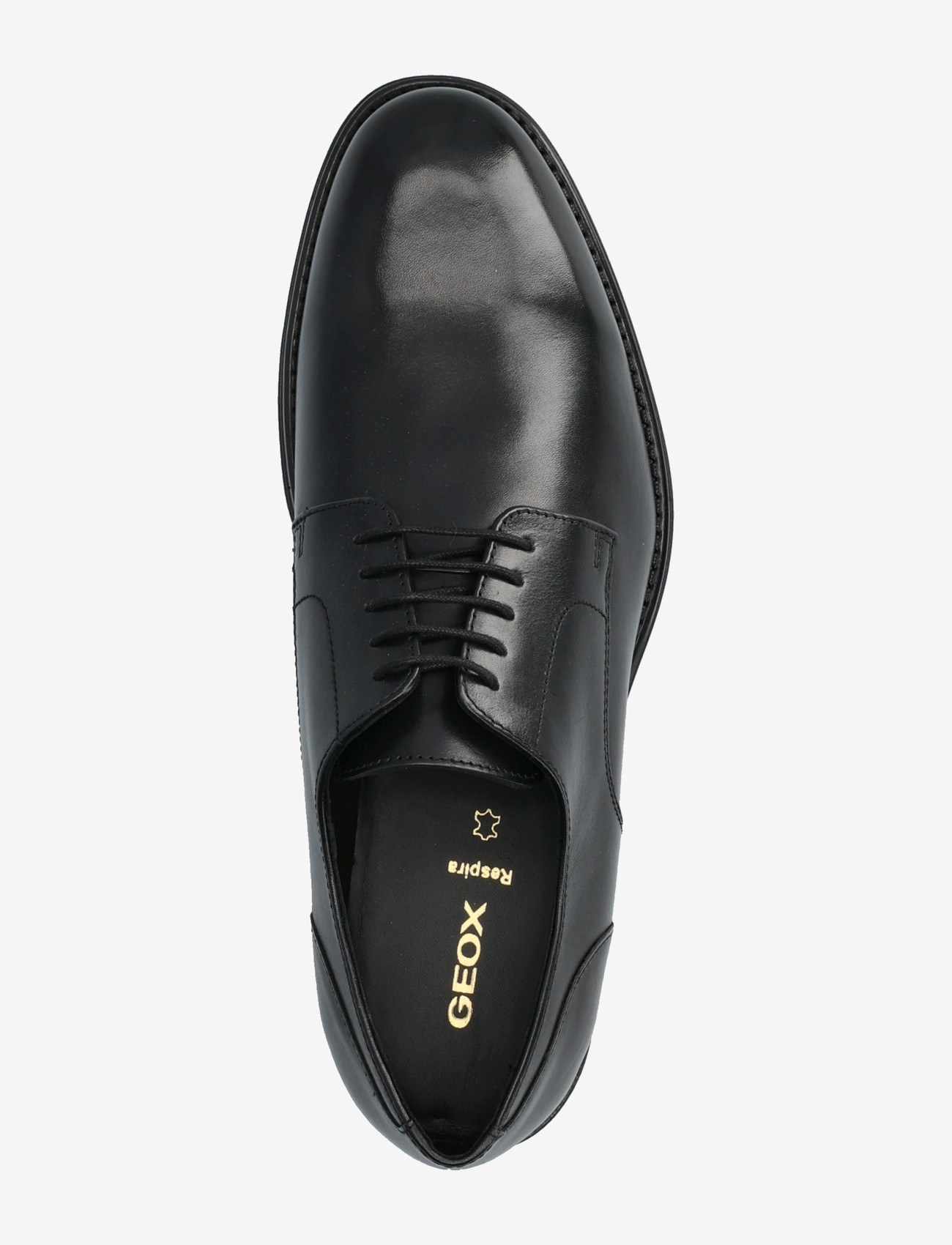 GEOX - U BARBERIGO C - derby kingad - black - 3