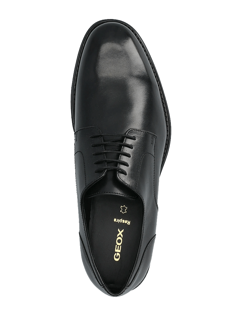 GEOX - U BARBERIGO C - derby kingad - black - 3