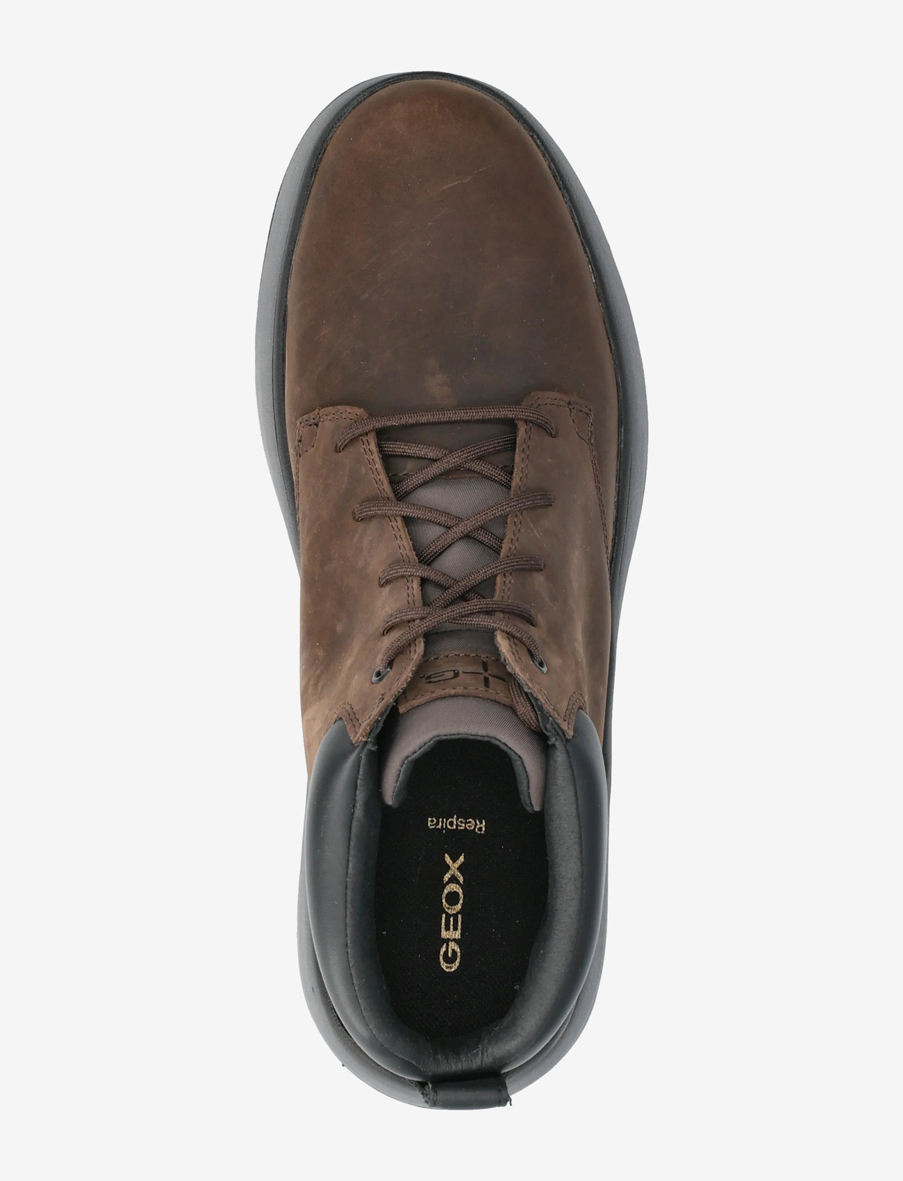 GEOX - U GRANITO + GRIP A - støvler med snøre - coffee/blk - 3