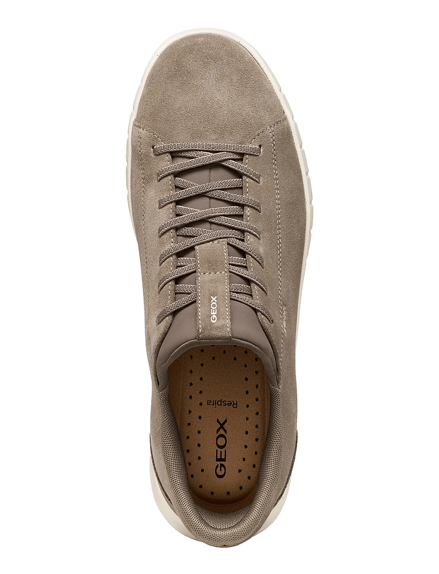 GEOX - U FLEXTRIDE PLUS A - low-top sneaker - taupe - 2