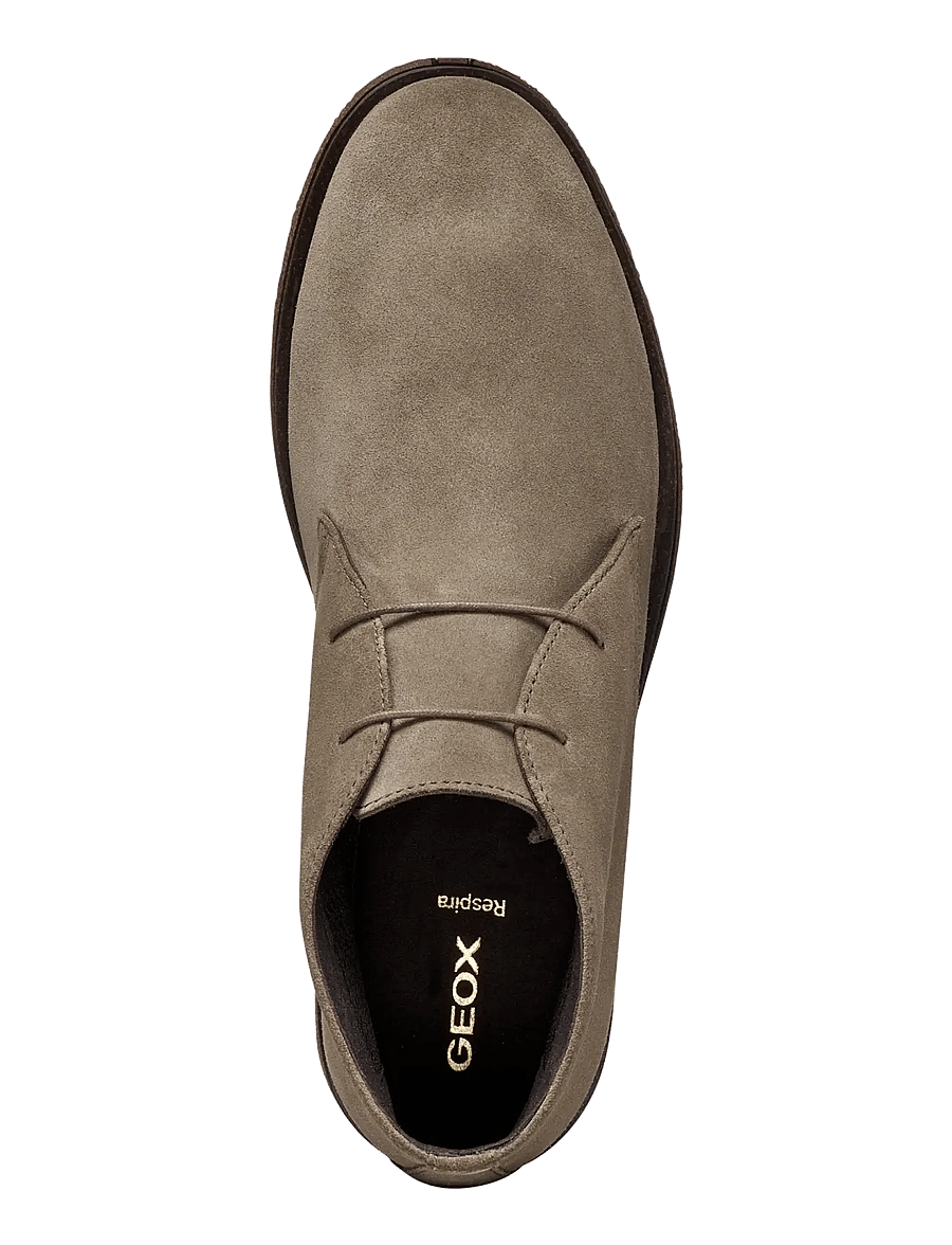 GEOX - U CLAUDIO D - kõrbesaapad - dove grey/brown - 3
